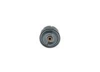 BOSCH F026407099 Ölfilter