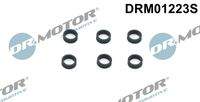 Dr.Motor Automotive DRM01223S Dichtring, Einspritzventil