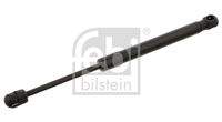 FEBI BILSTEIN 28034 Gasfeder, Heckscheibe