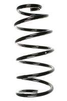 SPIDAN 56899 Fahrwerksfeder