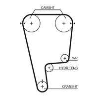 GATES T226 Zahnriemen