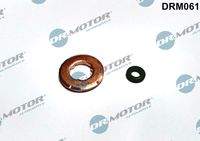 Dr.Motor Automotive DRM061 Dichtungssatz, Einspritzdüse