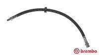 BREMBO T24132 Bremsschlauch