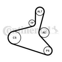 CONTINENTAL CTAM 6DPK1195K2 Keilrippenriemensatz
