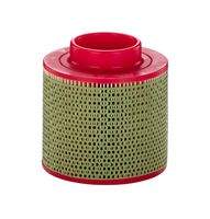 MANN-FILTER C17100 Luftfilter