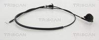 TRISCAN 814025606 Motorhaubenzug