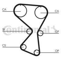 CONTINENTAL CTAM CT1075 Zahnriemen