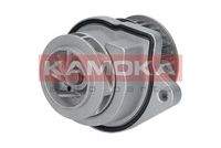 KAMOKA T0248 Wasserpumpe, Motorkühlung