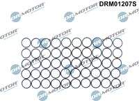 Dr.Motor Automotive DRM01207S Dichtring, Düsenhalter