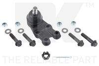 NK 5043413 Trag-/Führungsgelenk