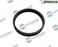 Dr.Motor Automotive DRM0258 Dichtung, Turbineneinlass (Lader)