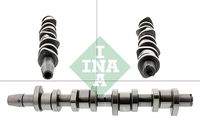 Schaeffler INA 428013010 Nockenwelle