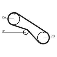 CONTINENTAL CTAM CT1082 Zahnriemen