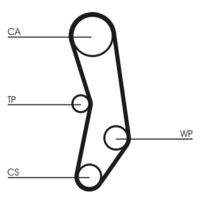 CONTINENTAL CTAM CT515 Zahnriemen