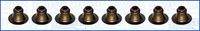 AJUSA 57005900 Dichtungssatz, Ventilschaft