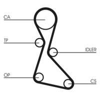 CONTINENTAL CTAM CT553 Zahnriemen