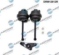 Dr.Motor Automotive DRM12812R Reparatursatz, Saugrohrmodul