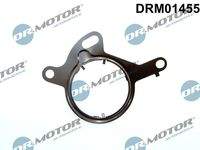 Dr.Motor Automotive DRM01455 Dichtung, Unterdruckpumpe